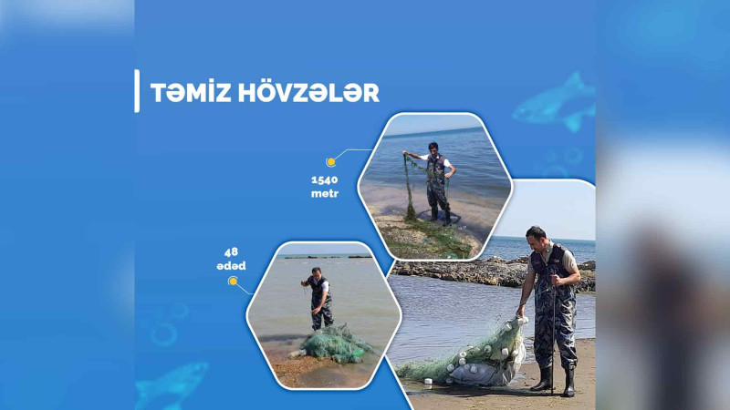 Xaçmaz: Torlar su hövzələrindən yığılıb