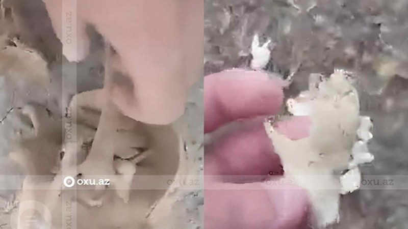 Xaçmazda qazıntı işləri zamanı insan sümükləri aşkarlanıb