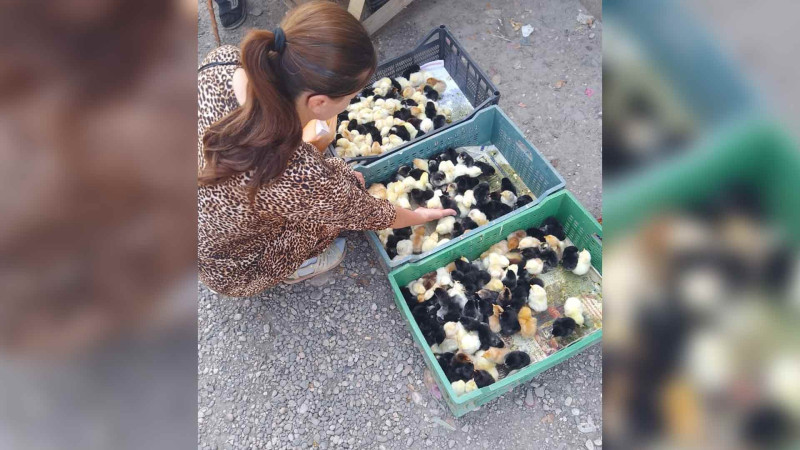 Qusar Qadın Resurs Mərkəzinin üzvü şəxsi biznesə sahib olub