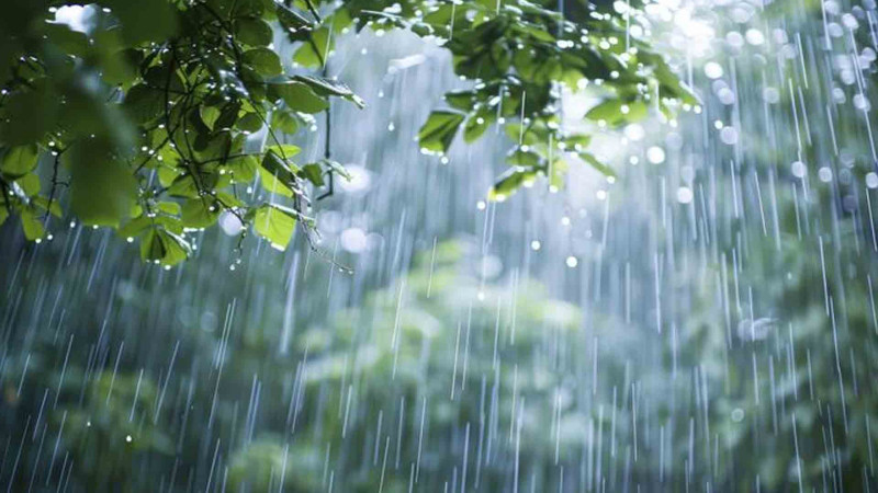 Şimal: Yağıntıların miqdarı açıqlanıb