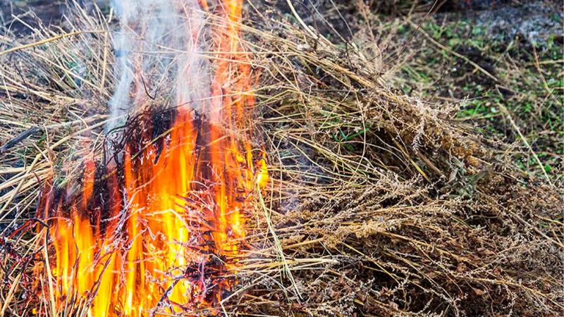 Xaçmaz: Nərəcan kəndində yanğın olub