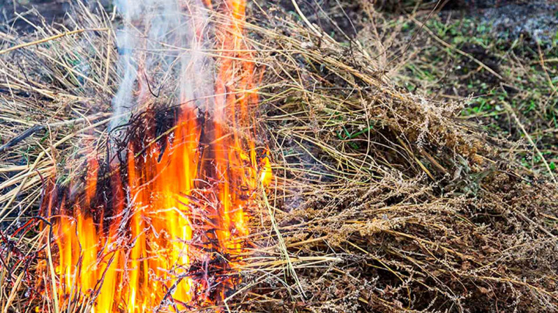 Xaçmaz: Nərəcan kəndində yanğın olub