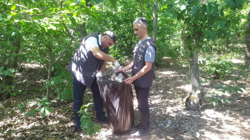 Xaçmaz: Meşəliklərdə “Təmiz ölkəm” aksiyası təşkil edilib