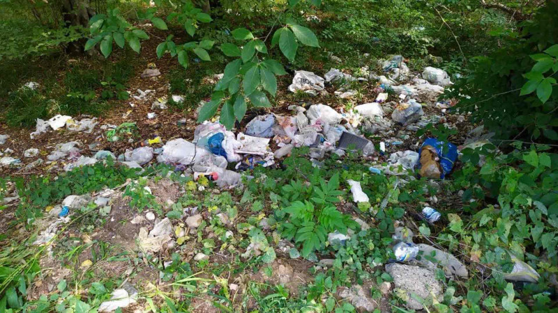 Qusarda ekoloji marafon davam edir