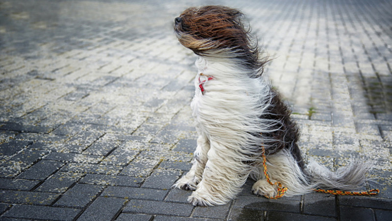 Meteoroloqlar əhaliyə xəbərdarlıq edib