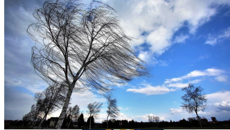 Şimal: küləkli hava gözlənilir