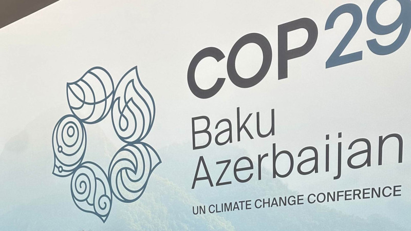 COP29 vaxtı ölkəmizə 80 minə yaxın qonaq səfər edəcək