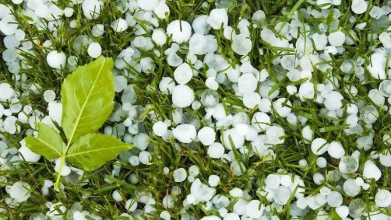 Leysan, dolu, qar - XƏBƏRDARLIQ