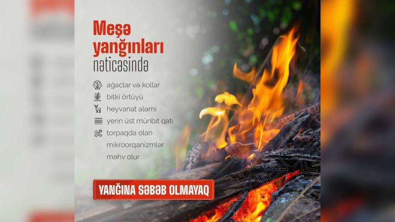 Şimalda yanğın təhlükəsi var