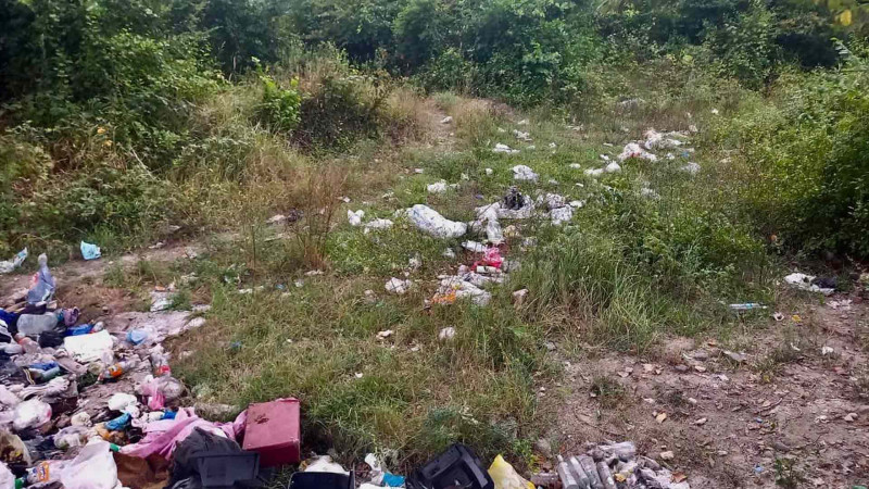 ETSN: 2 rayon ərazisində meşələr təmizlənilib