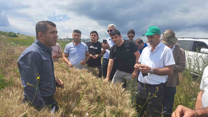 Şimal: Toxum və tinglərə dair təlim keçirilib