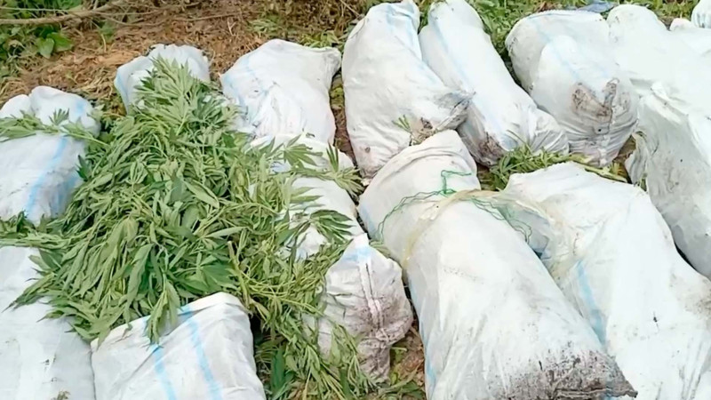 Xaçmazda polis əməliyyat keçirdi: Saxlanılanlar var