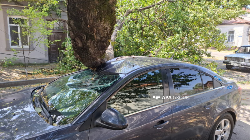 Qubada ağac maşının üzərinə düşüb