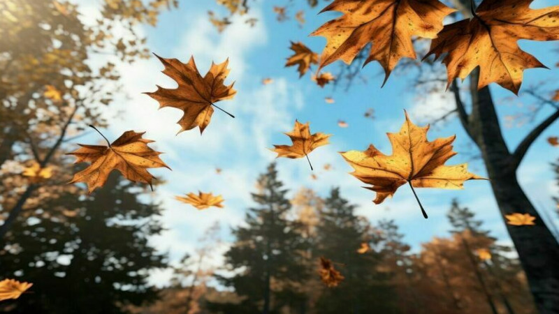 Sentyabr ayına olan hava proqnozu açıqlanıb