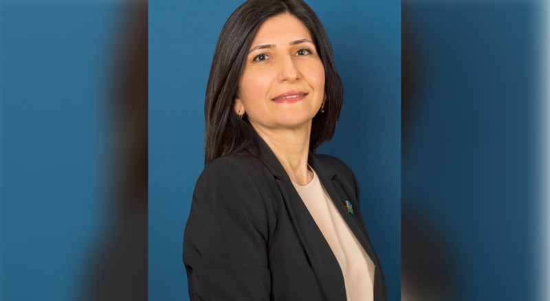 İnformasiya Agentliyinin direktor müavini parlament seçkilərində lider olub