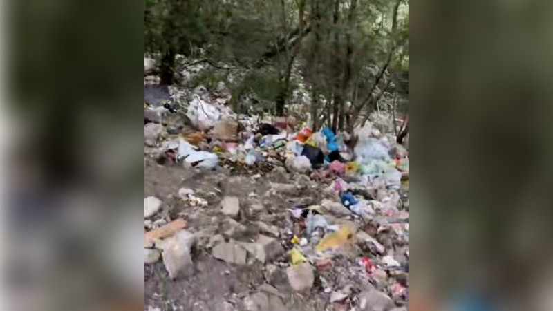 İsmayıllı meşələri zibilxanaya çevrilib - VİDEO