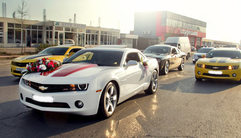 DYP toy karvanları ilə bağlı xəbərdarlıq edib