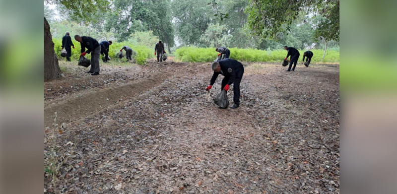 Məşələr tullantılardan təmizlənib