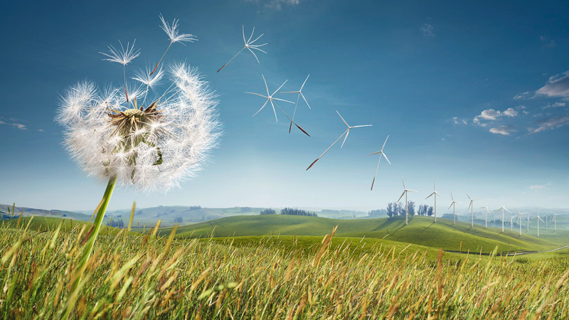 Küləkli hava ilə bağlı xəbərdarlıq edilib