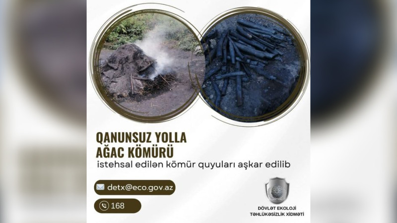 İsmayıllıda qanunsuz kömür istehsalı aşkarlanıb