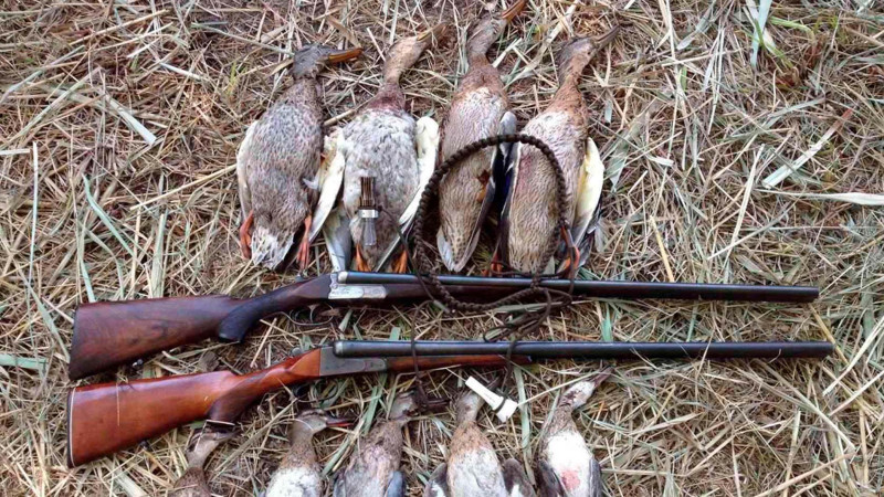 İsmayıllıda qanunsuz ov edənlər saxlanılıb