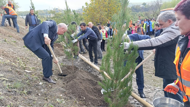 Qusar rayonunda genişmiqyaslı ağacəkmə aksiyası keçirilib
