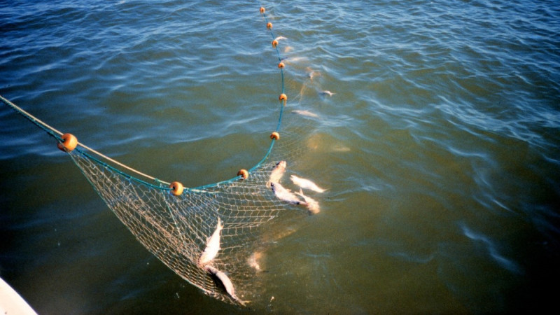 Siyəzəndə brakonyerlər saxlanıldı