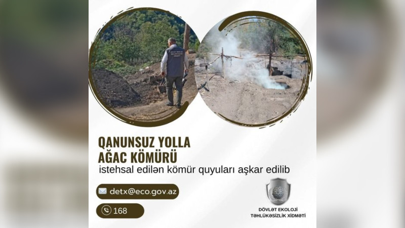Qubada qanunsuz kömür quyuları aşkar olunub