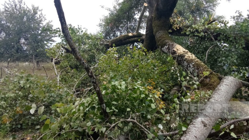 İsmayıllıda güclü külək fəsadlar törədib