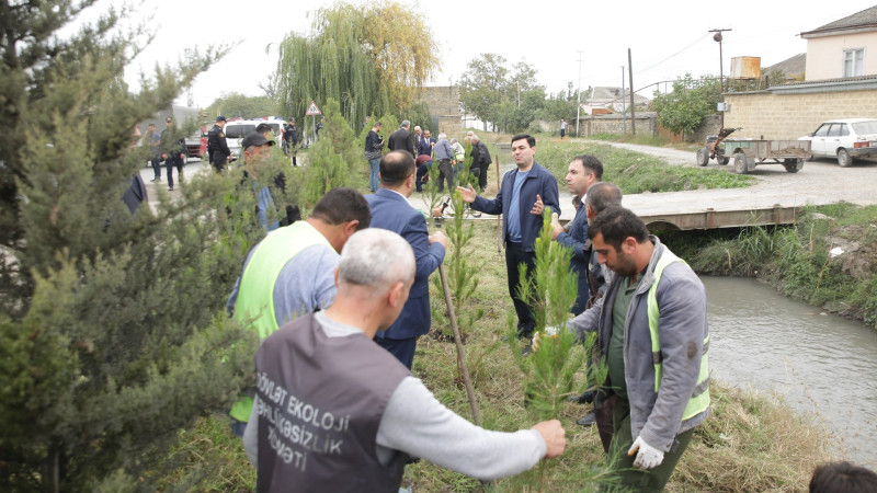 Xaçmazda yaşıllaşdırma işləri aparılır
