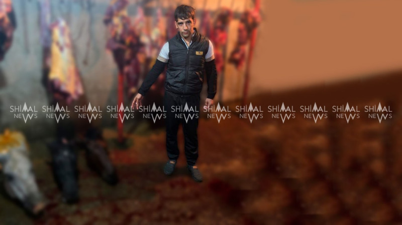 İsmayıllıda qidaya yararsız at əti satan şəxslər saxlanılıblar