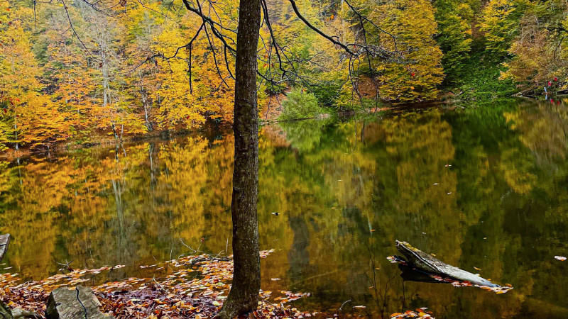 Balasını itirən ana, dağdan qayıdan qız... – İsmayıllının sirli gölündən REPORTAJ