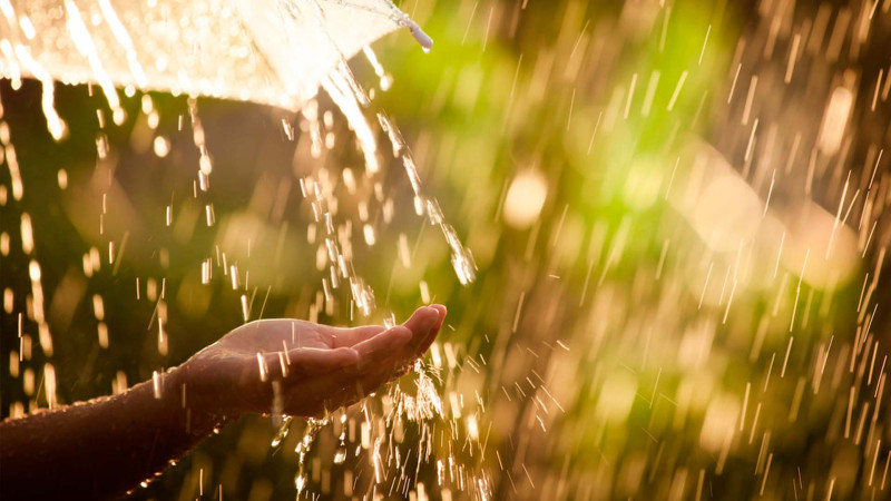 Bu ərazilərə yağış yağacaq