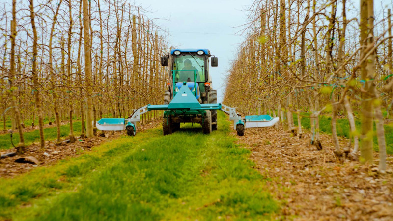 Qusarda intensiv bağçılığa maraq artıb