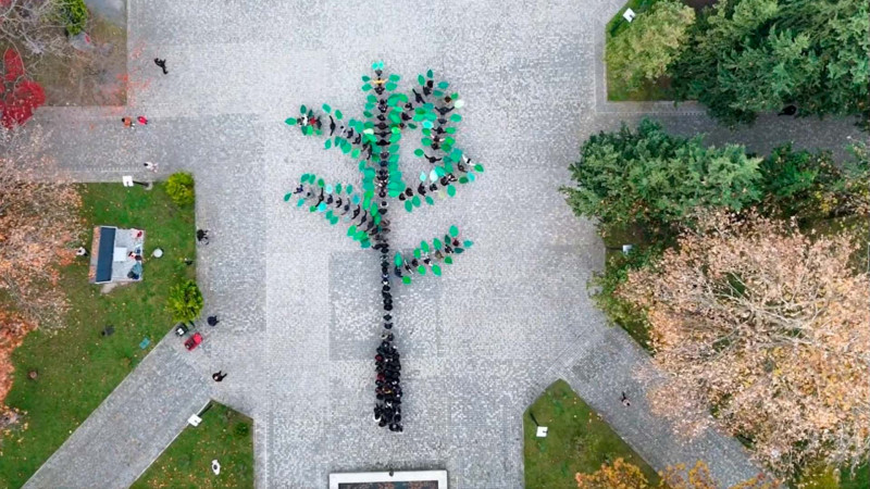 İsmayıllı məktəbliləri çağırış etdi - VİDEO