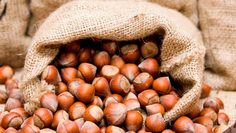 Bəzi rayonlarımızda fındıq məhsulu az olacaq