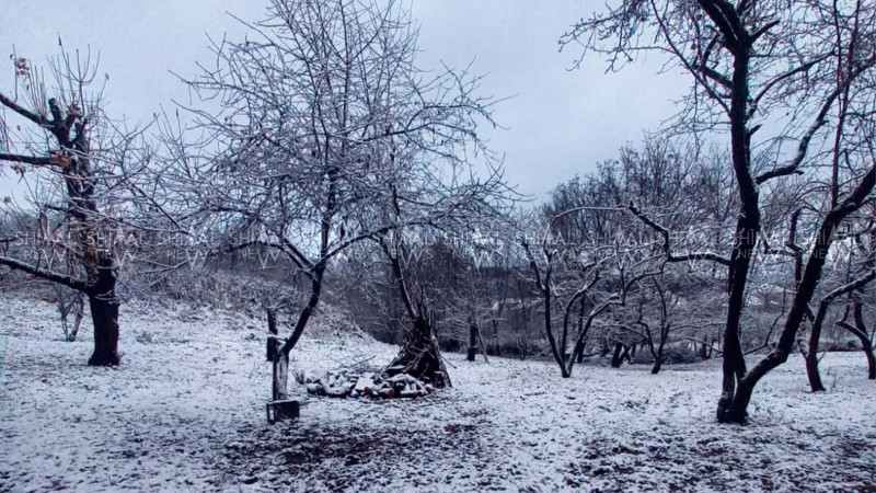 Şimal bölgəsi ağ örpəyə bürünür - VİDEO