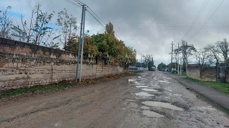 Şabranın Ağalıq kəndində antisanitar vəziyyət