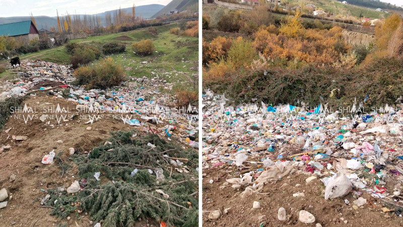 Şabranda illərlə təmizlənməyən zibillik: Üfünətdən beyin çatlayır - FOTO/VİDEO