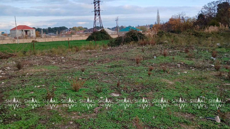 Shimal.News-un işıqlandırdığı daha bir problem həll edildi - ŞABRANDA