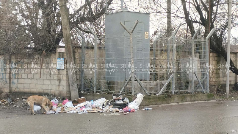 Qubanın “Bazar küçəsi”ndə natəmizlik - FOTO