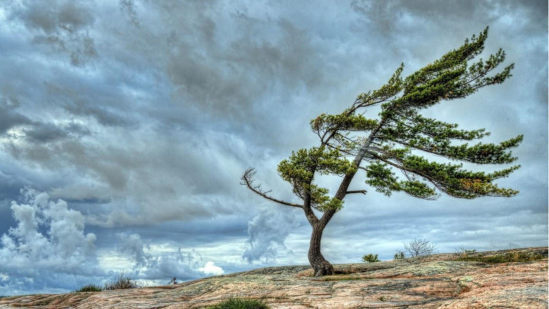 Güclü külək əsəcək - XƏBƏRDARLIQ