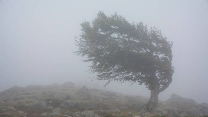 XƏBƏRDARLIQ: Güclü külək əsəcək