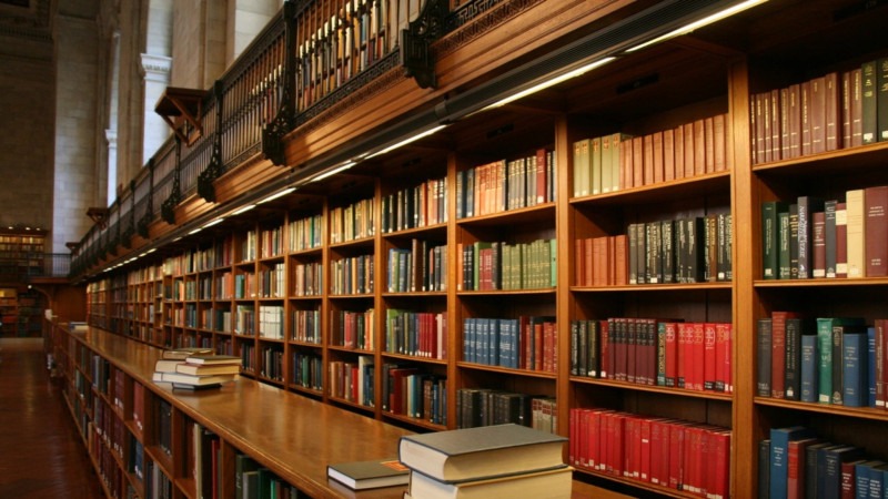 Şimaldakı kitabxanaçılara türkiyəli mütəxəssislər təlimlər keçəcəklər