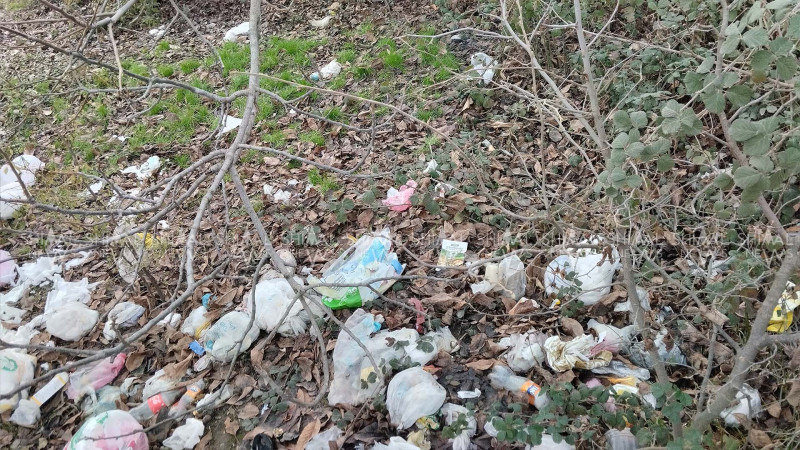 Xaçmazda təmizlənən ərazi yenidən zibillənib - FOTO