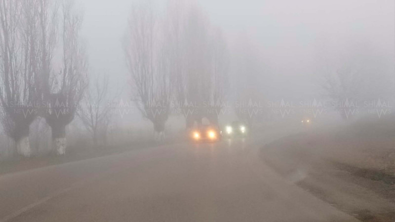 Quba-Xaçmaz yolu qatı dumandır - VİDEO