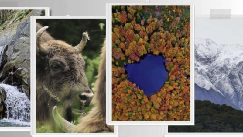 Bu gün Şahdağ Milli Parkının yaradılmasından 18 il keçir