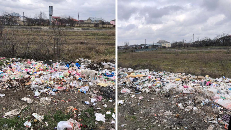Qubanın “Şərq qapısı” zibilliyin caynağındadır - FOTO