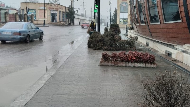 Quba sakinlərinin yolunu güllərlə kəsdilər - VİDEO