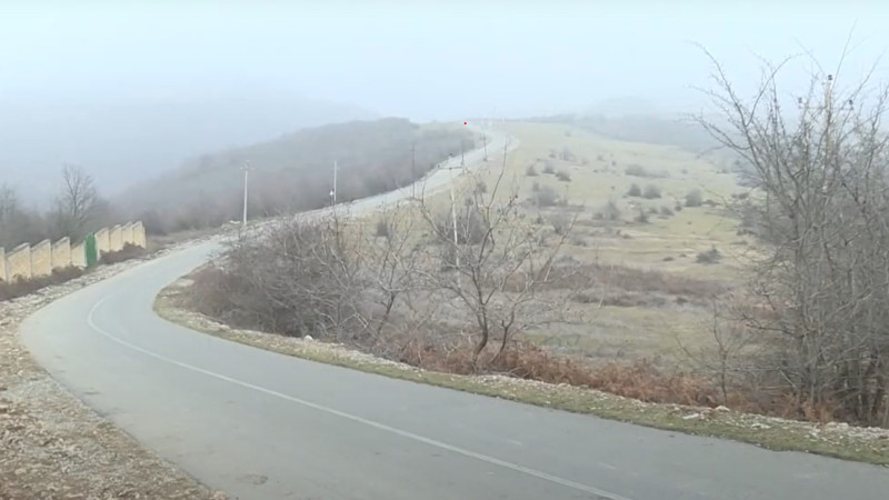 Daha bir kənddə ağaclar qırılır – QAZ YOXDUR - VİDEO